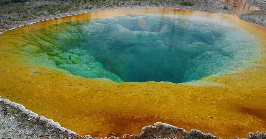 Hình 3. Một số sinh vật sống trong môi trường khắc nghiệt, chẳng hạn như hồ bơi Morning Glory, suối nước nóng ở Công viên Quốc gia Yellowstone. Sự khác biệt màu sắc trong kết quả hồ bơi từ các cộng đồng vi khuẩn khác nhau có khả năng phát triển mạnh ở các nhiệt độ nước khác nhau.