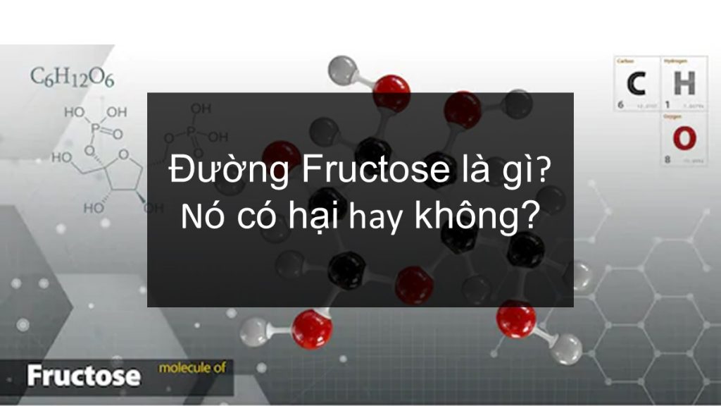 đường fructose là gì