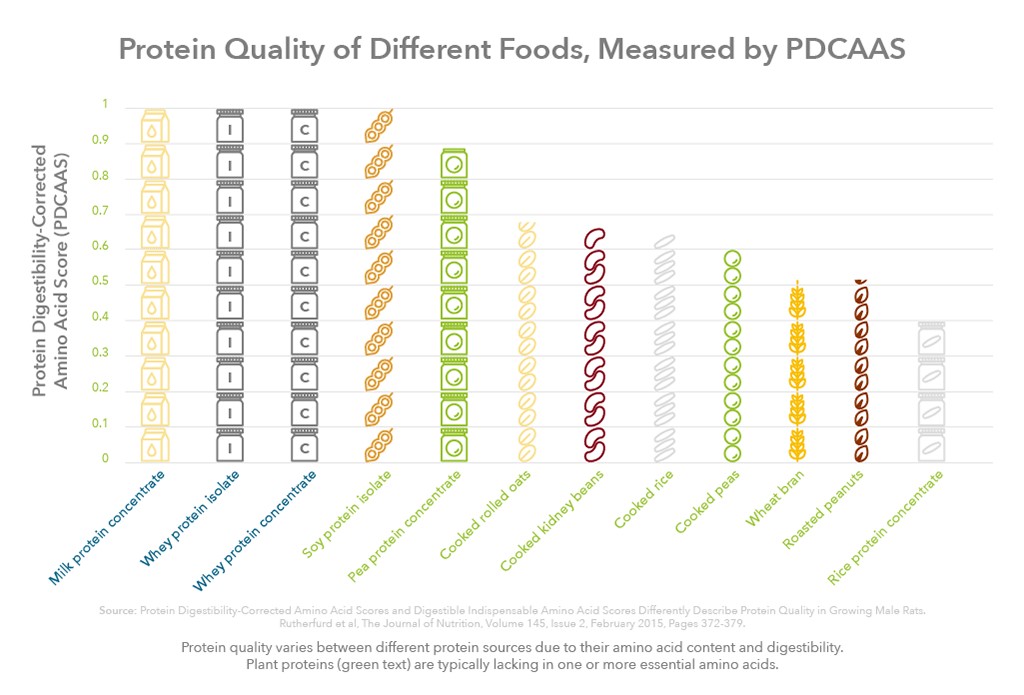 Graph showing PDCAAS scores of plant and animal proteins to demonstrate differences in protein quality